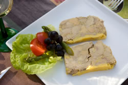 Foie gras